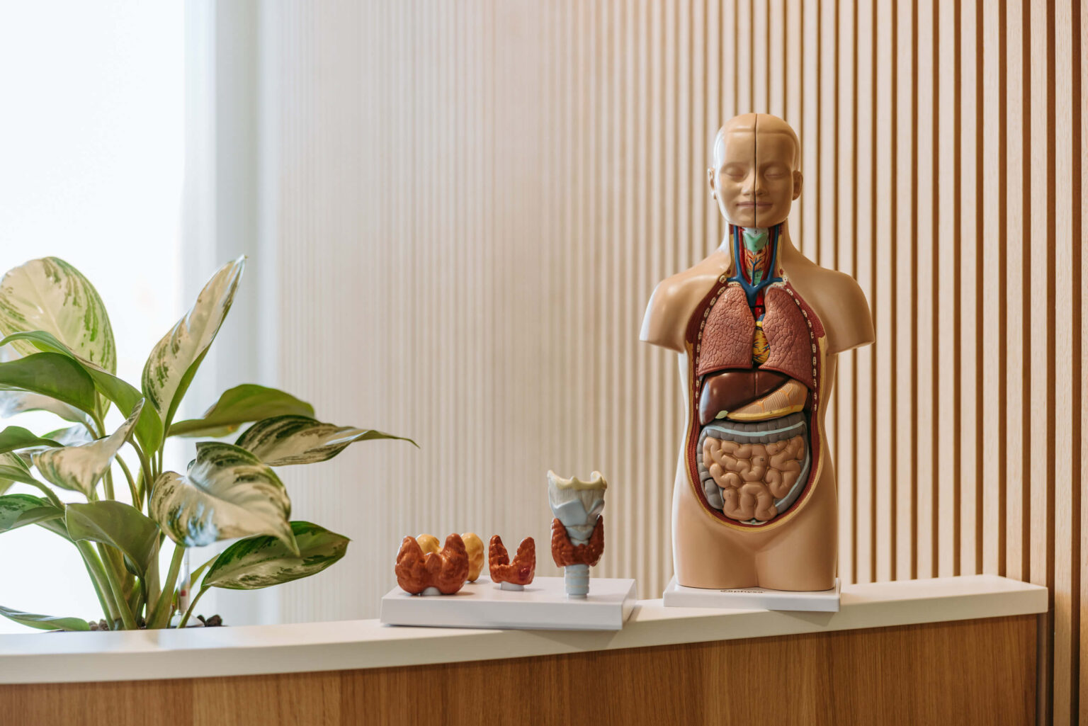 Hauser Healthcare_Ernährungscoach